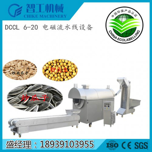 DCCL 6-20 全自动智能控温葵花籽生产线设备